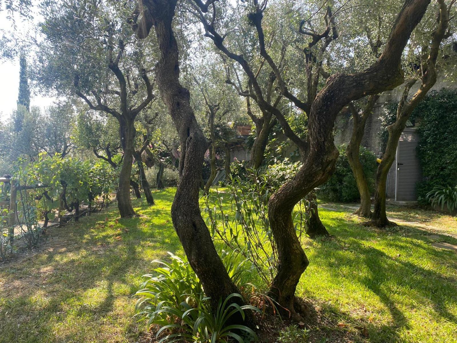 La Sosta Al Bagolaro Apartment Rapallo Exterior photo